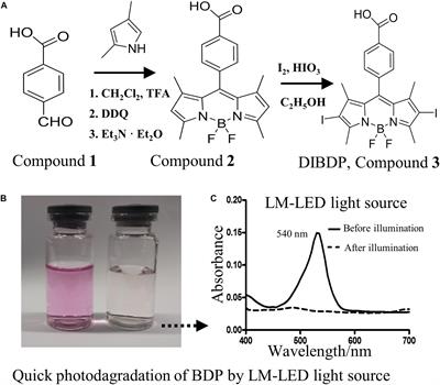 Inhibition of the Citrus Canker Pathogen Using a Photosensitizer Assisted by Sunlight Irradiation
